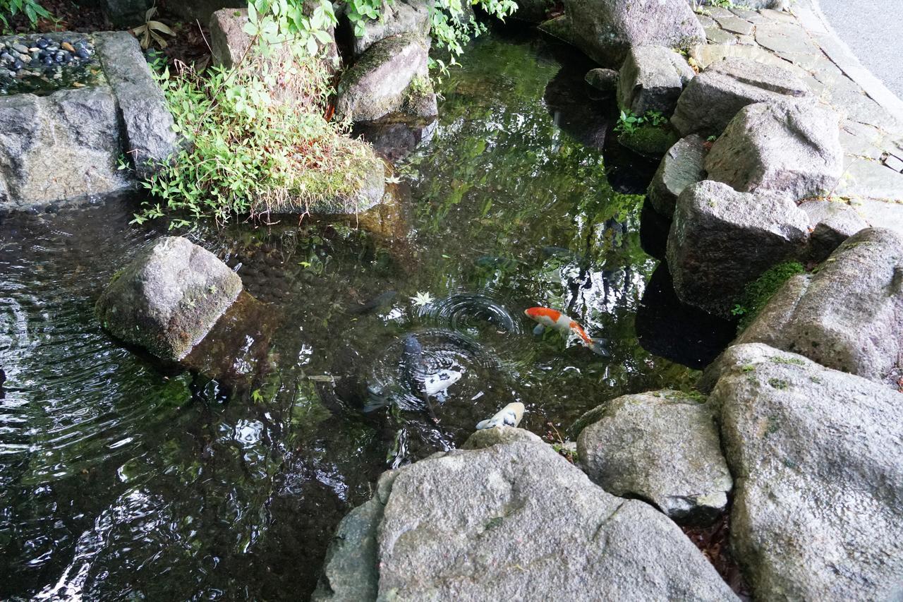 Hotel Blancvert Onsen